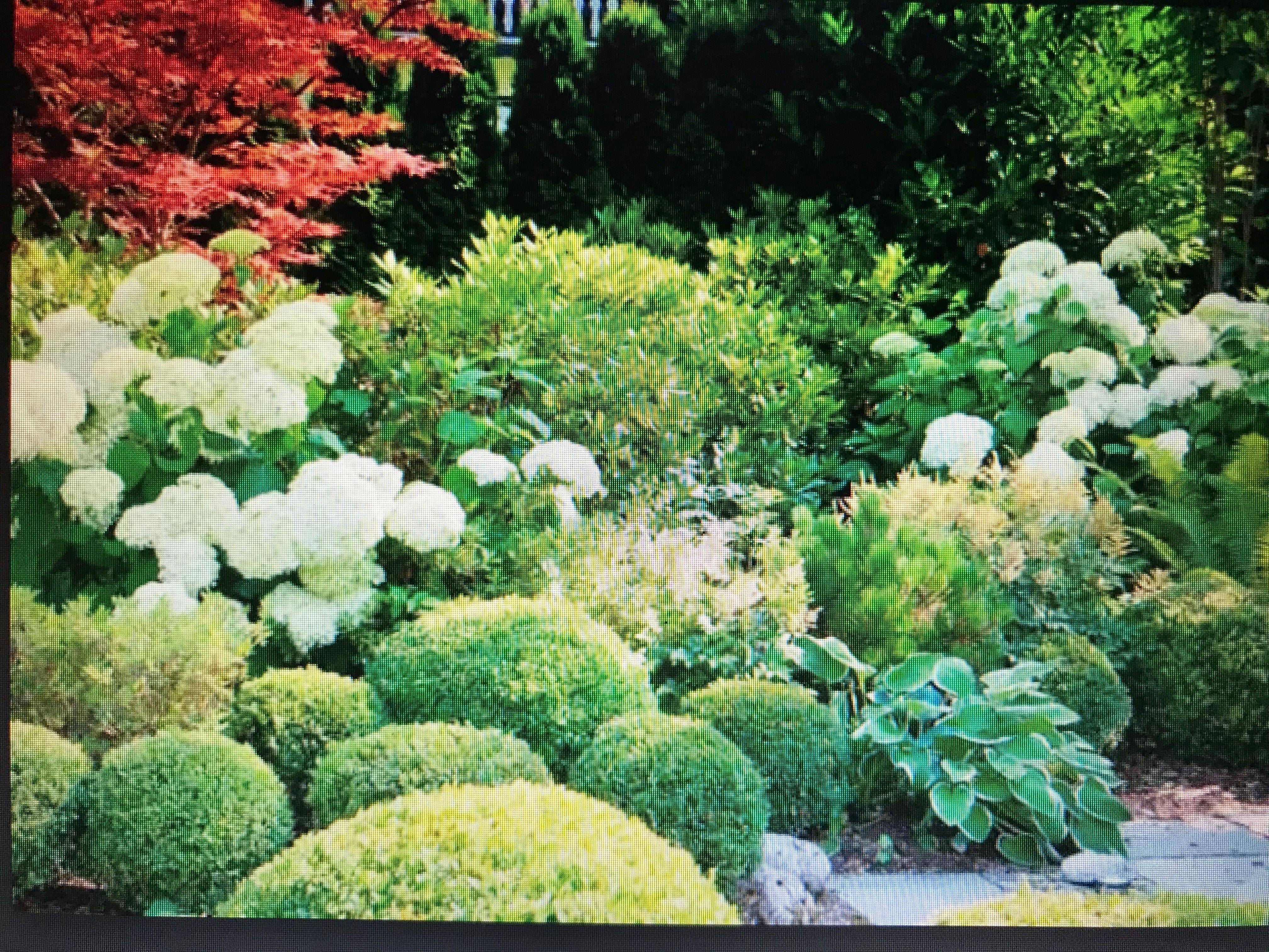 Ryan Gaineys Home English Garden Design