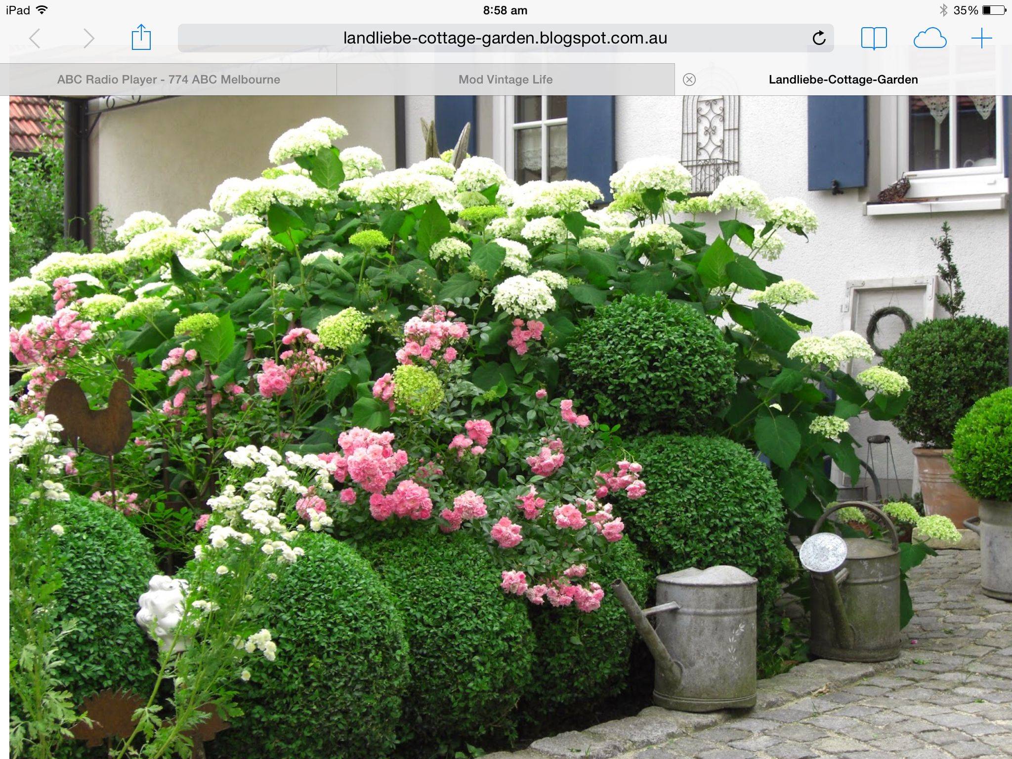 Hydrangea Side Yard
