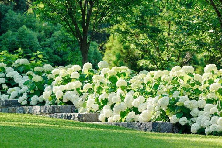 Formal English Gardens Diy Garden Projects