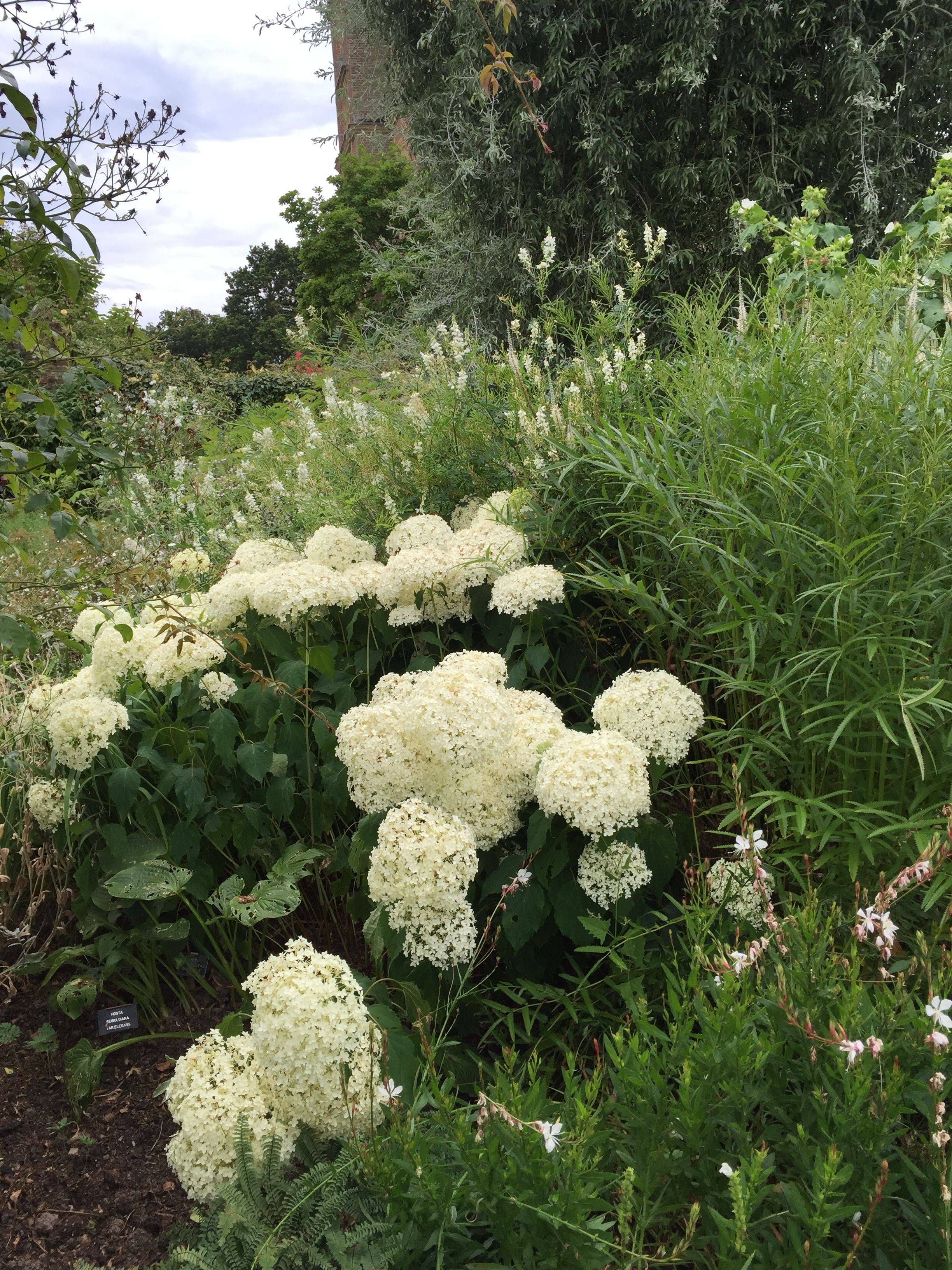 English Garden Design