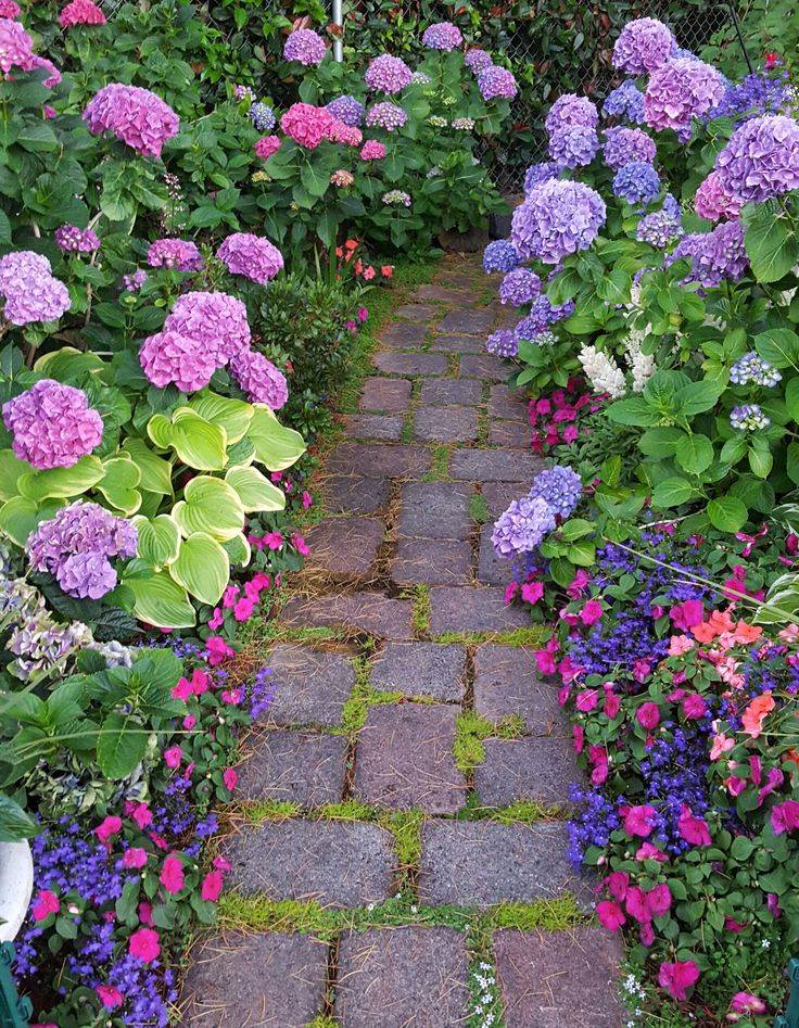 18 Hydrangea Garden Path Ideas You Must Look | SharonSable
