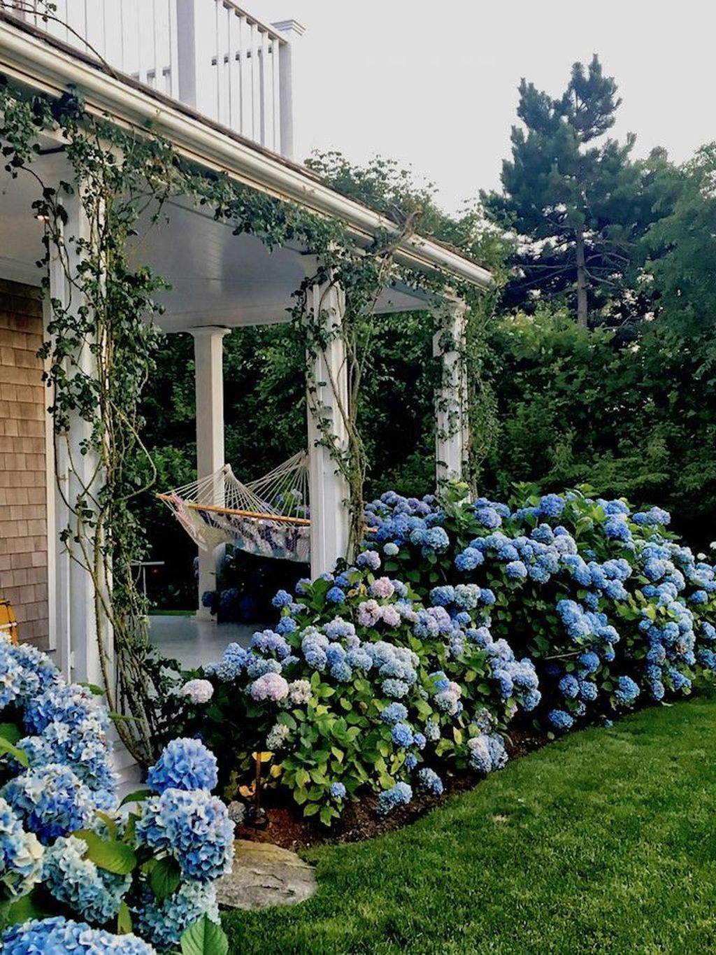 18 Hydrangea Garden Path Ideas You Must Look | SharonSable