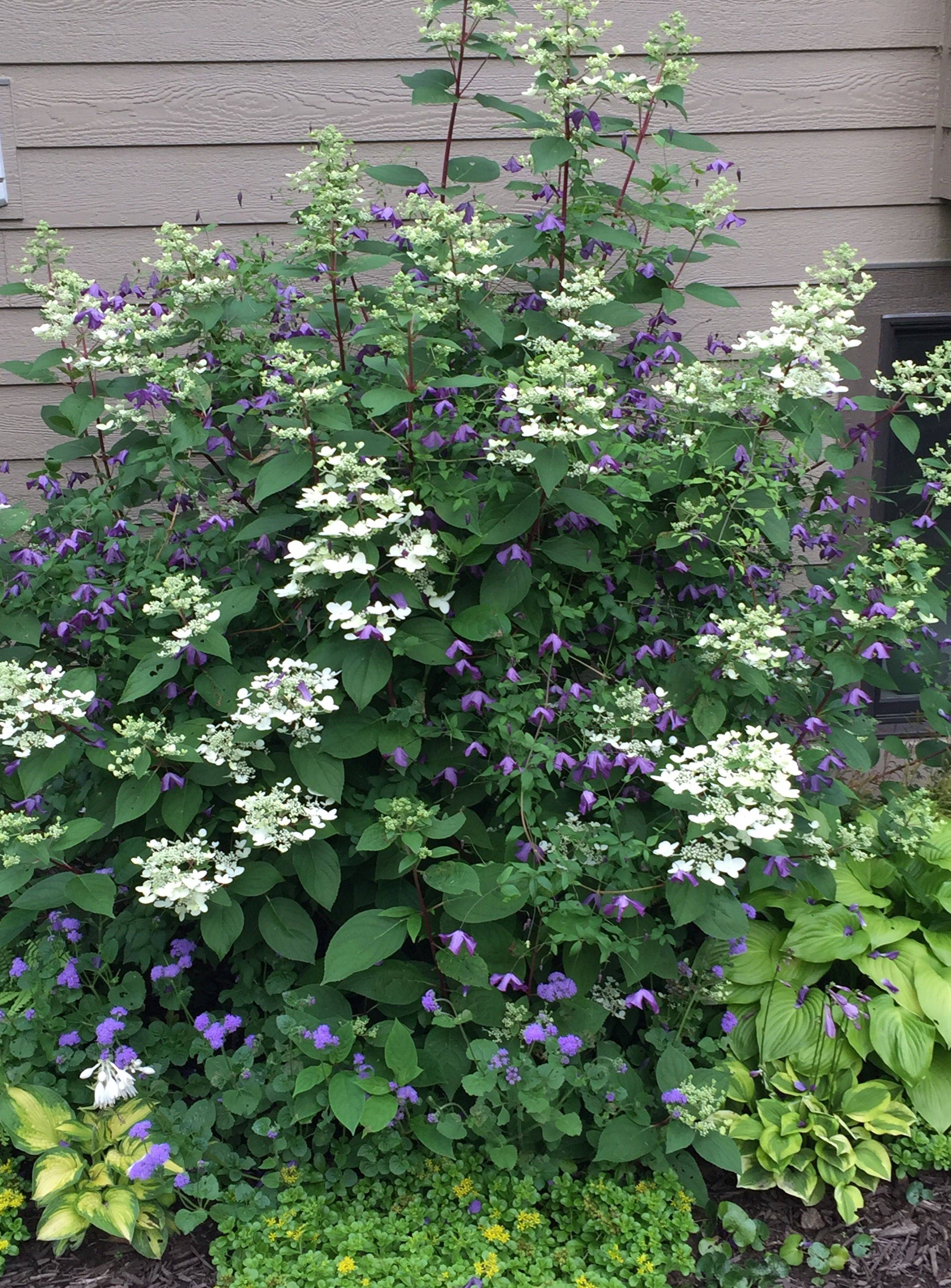 Beautiful Farmhouse Porch Design Ideas