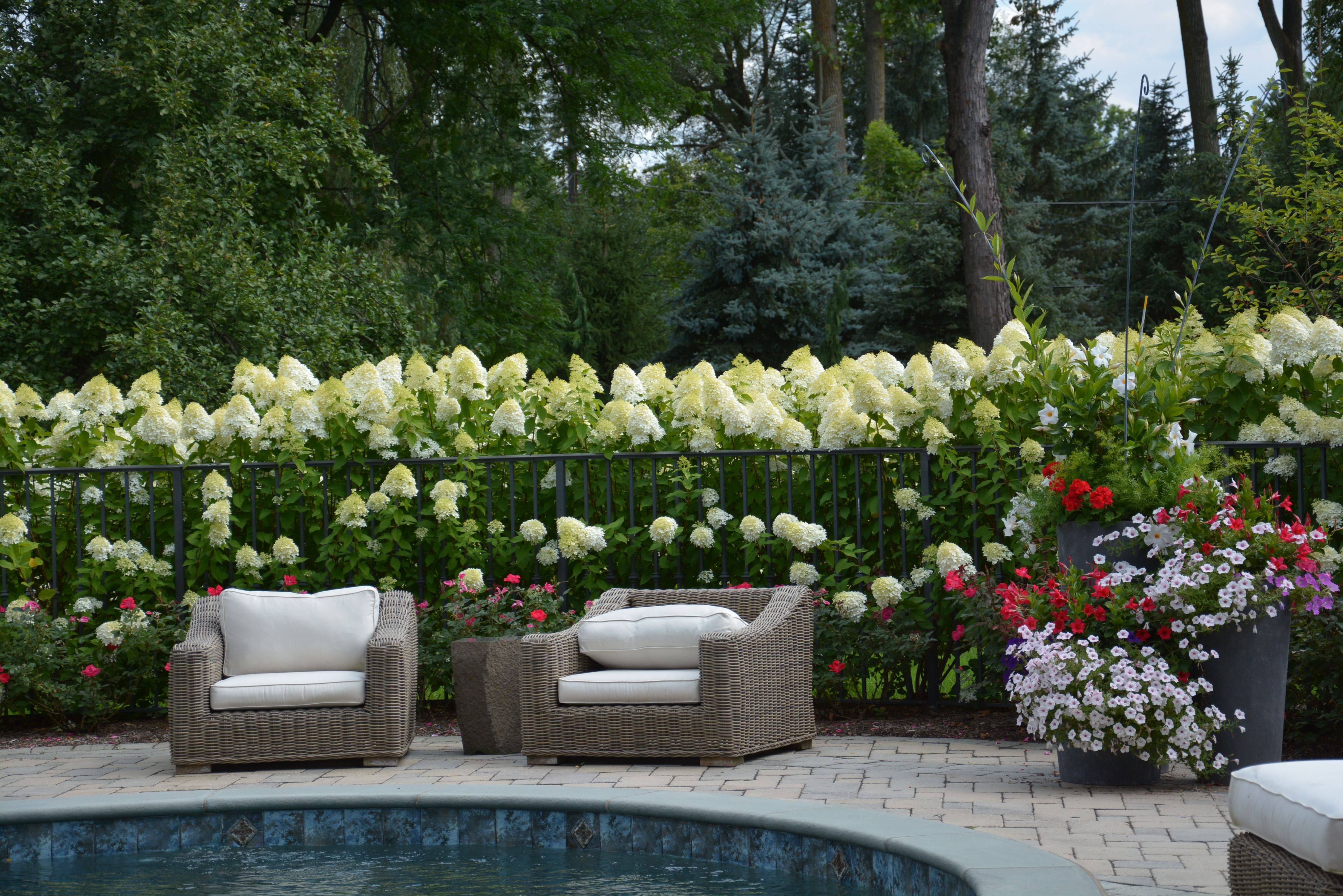 These Tips Landscaping Lovers Hydrangea