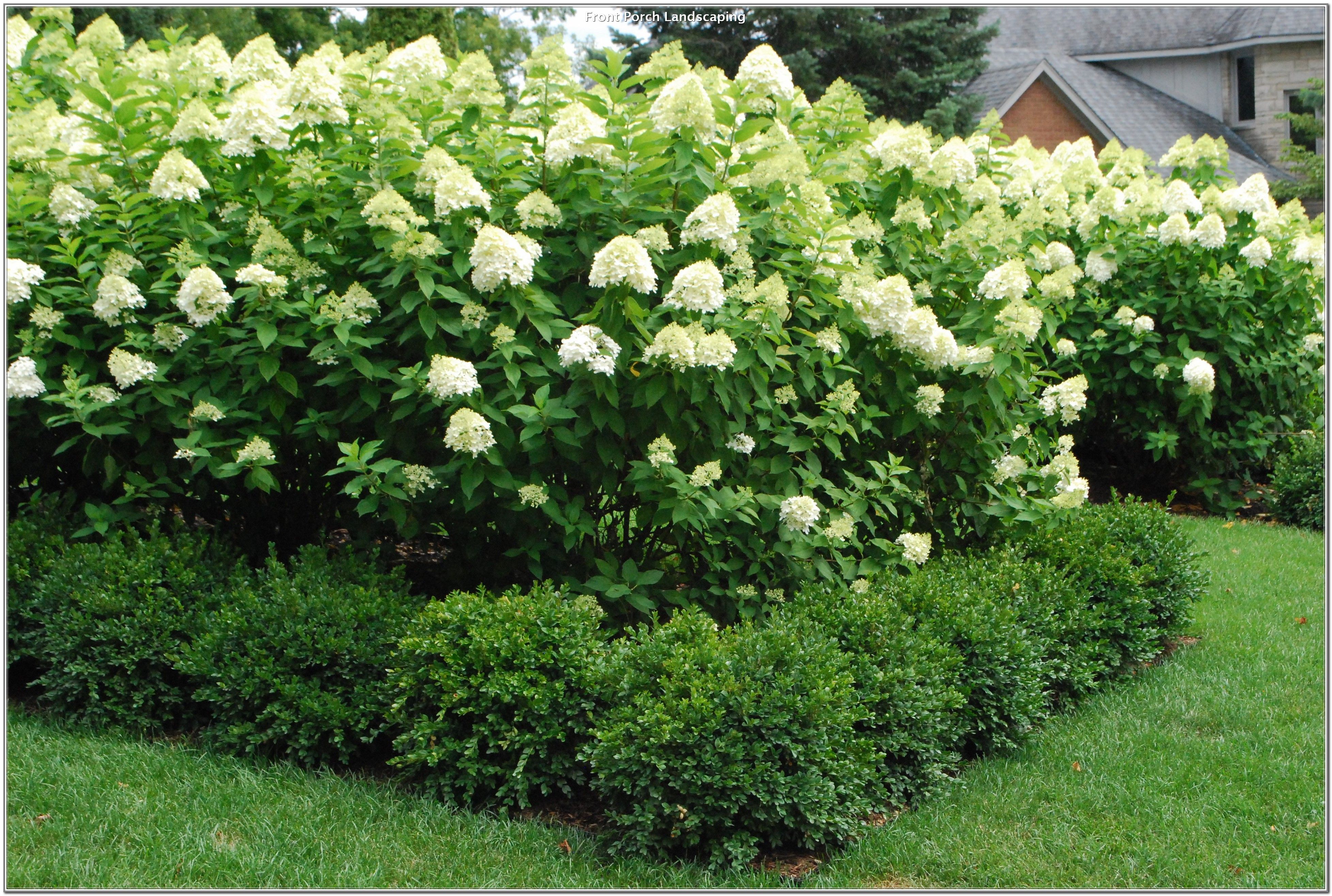 The August Garden