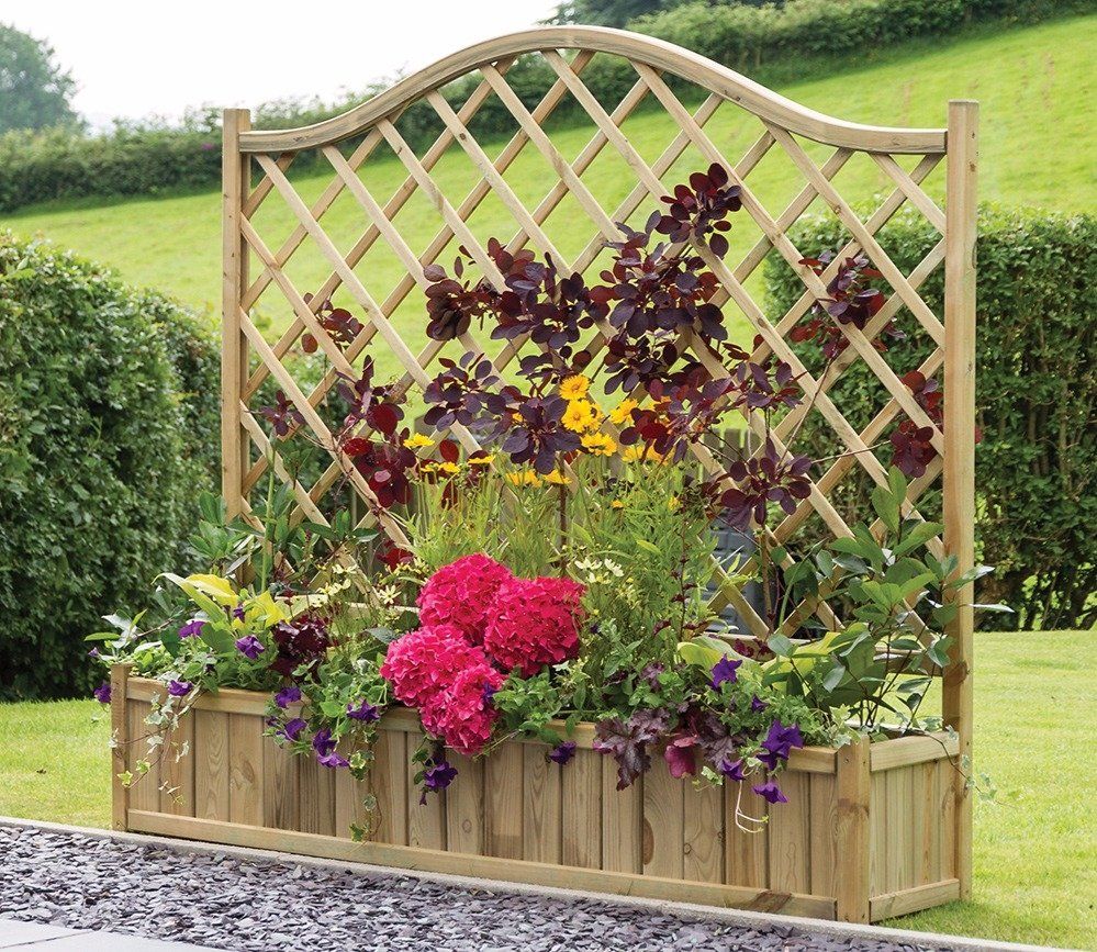 Outdoor Eucalyptus Configurable Privacy Screen Trellises