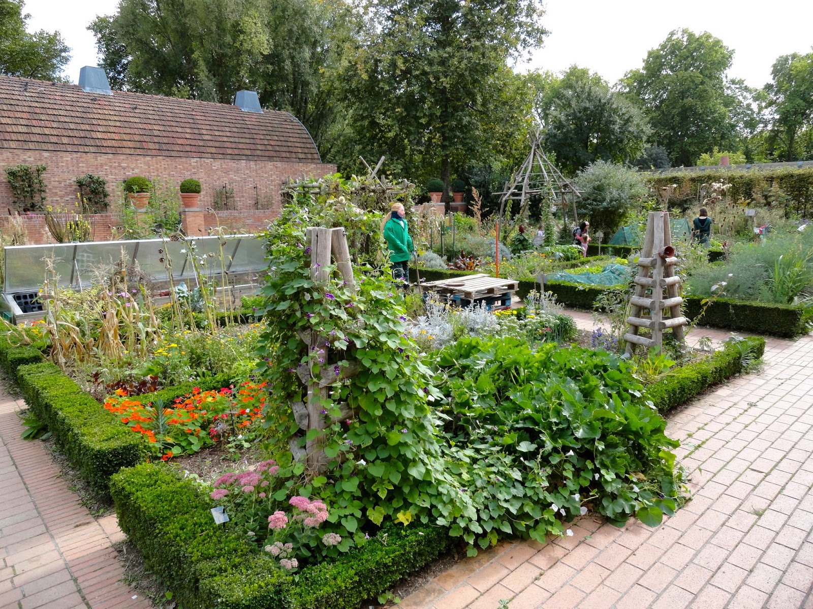 Backyard Japanese Garden Design Ideas