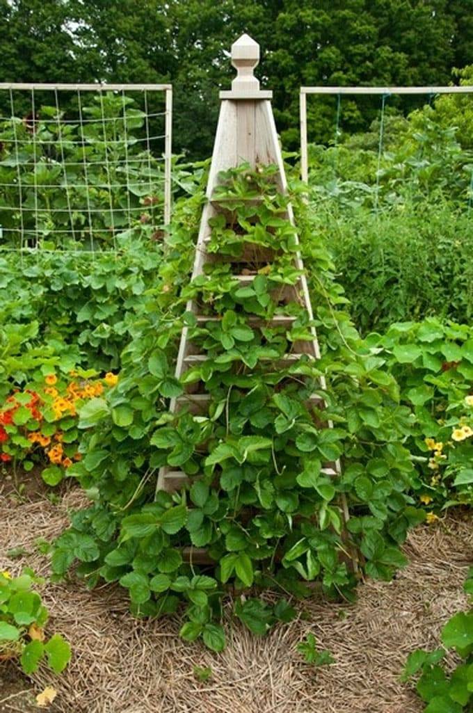 Brylanehome Planter Box