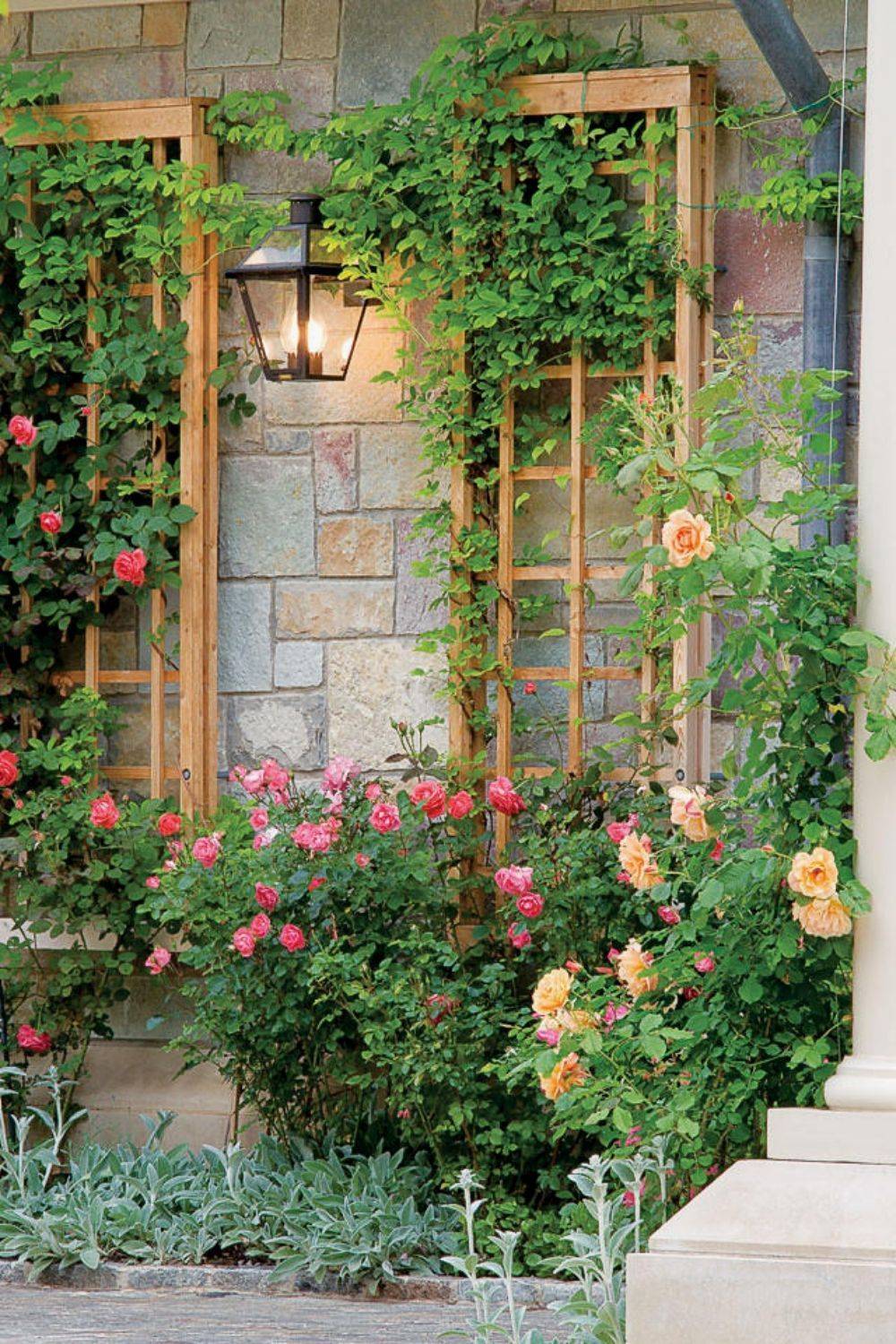 Ultimate Garden Trellis Wisteria Flower