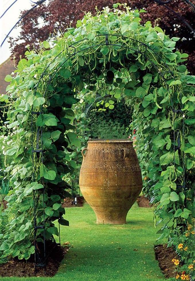 This Lovely Arbor