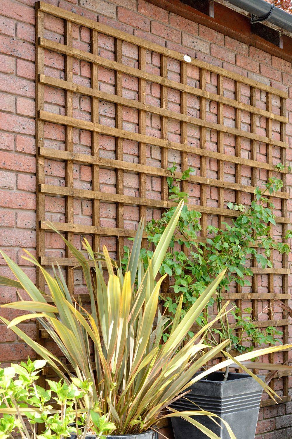 Decorative And Functional Iron Trellis