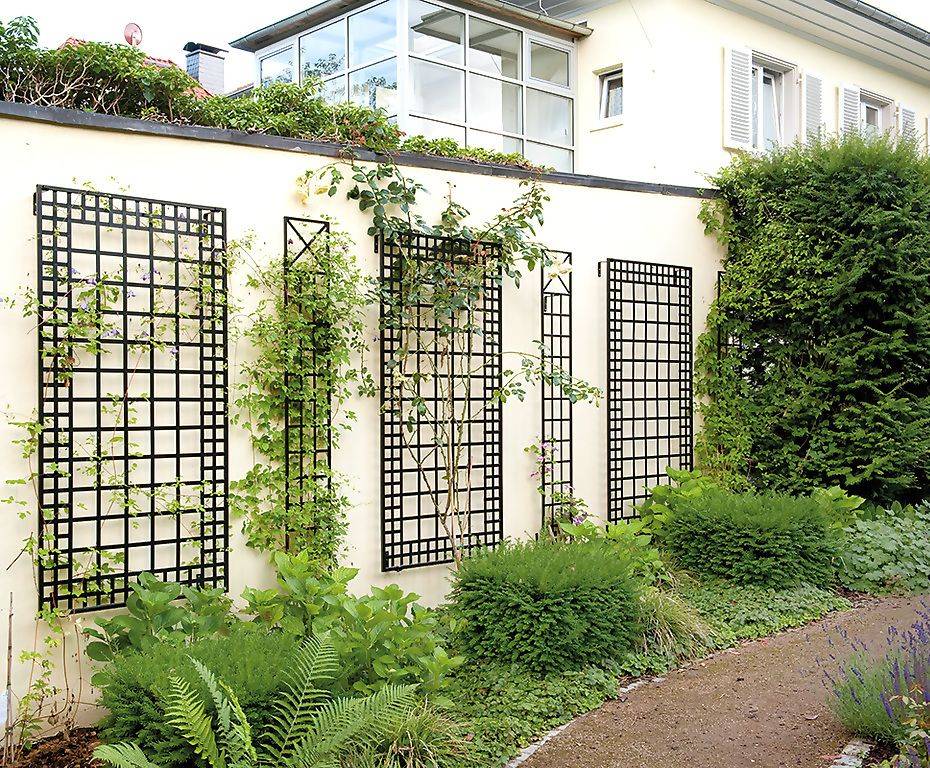 Wrought Iron Trellises Gardenorg