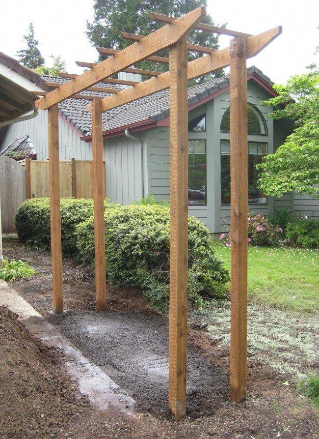 Best Diy Trellis Ideas