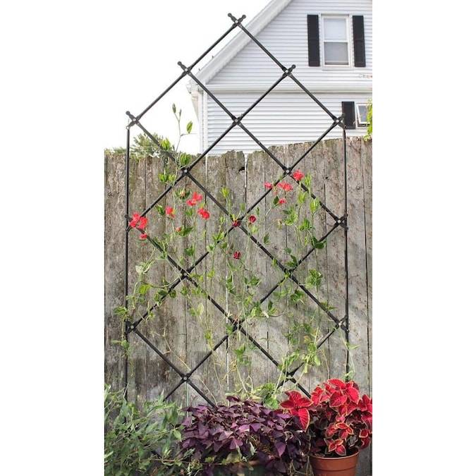 Garden Obelisk