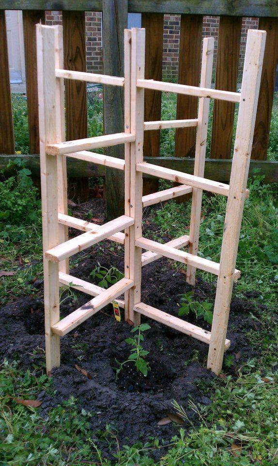 Pin On Trellis