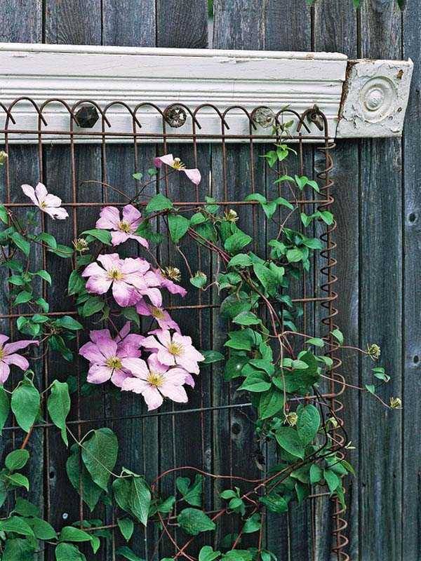 Fun Diy Garden Trellis Ideas