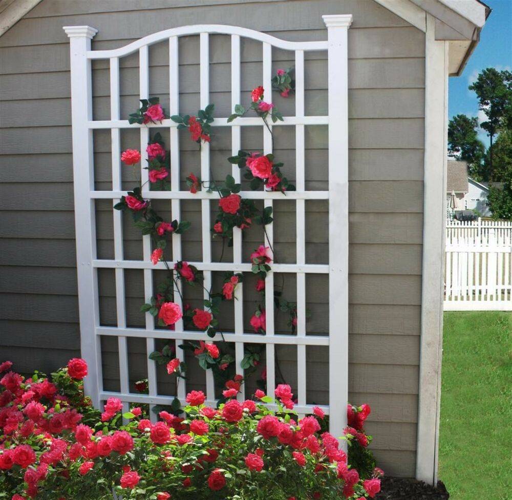 Creative And Easy Diy Trellis Ideas