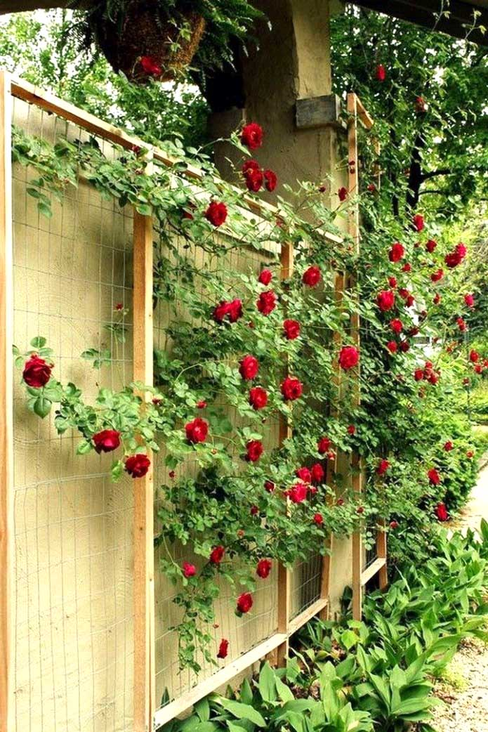 Large Multi Sizes Classic Metal Garden Wall Mounted Trellis