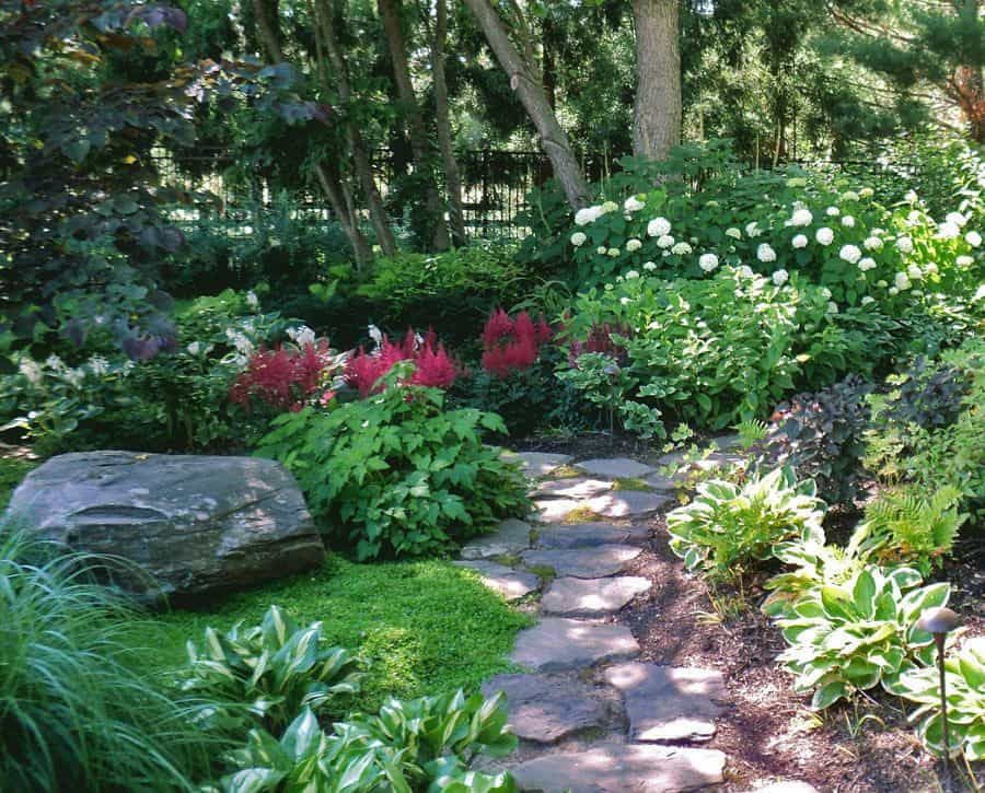 Landscape Ideas