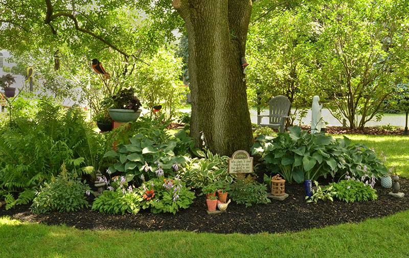 This Shade Garden