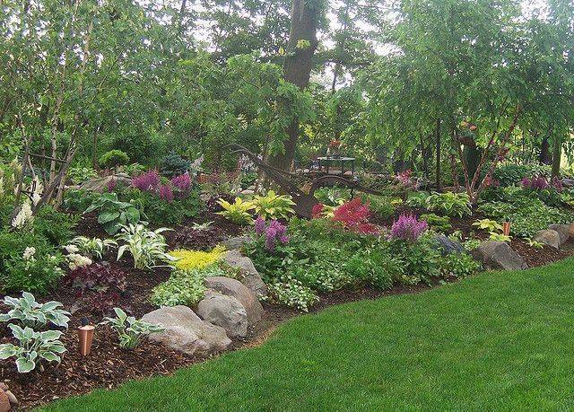 Astilbe Rock Garden