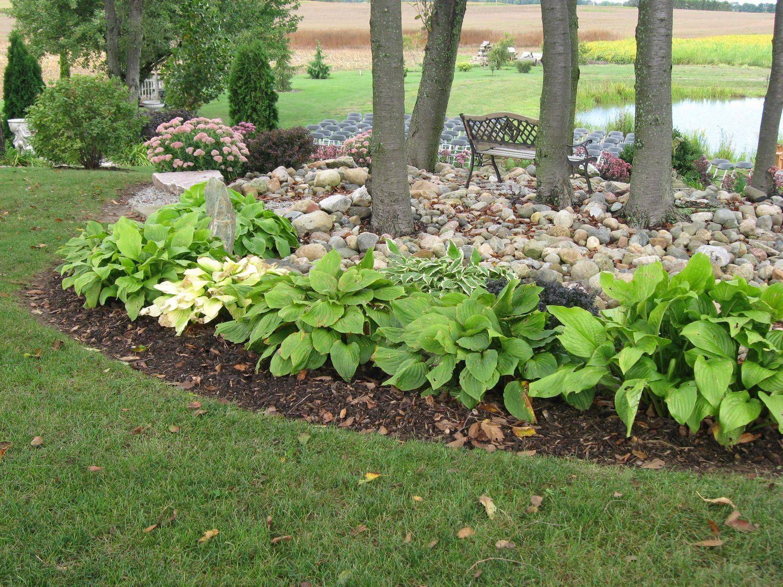 Hosta Gardens