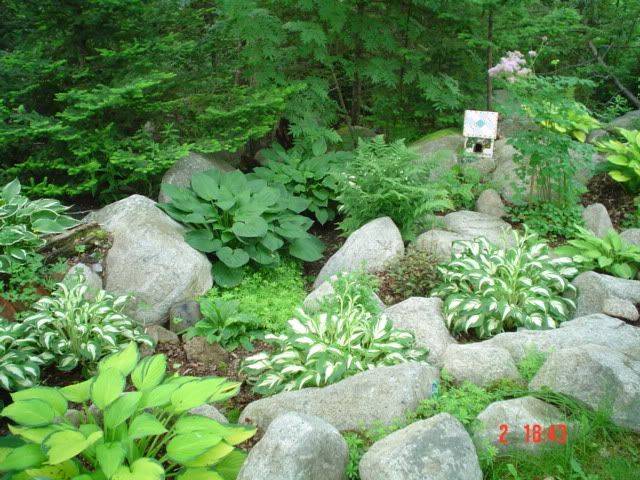 Uniquely Hostas Gardens