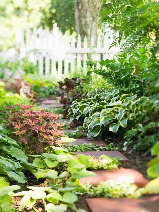 A Shady Landscape Shade Garden Design