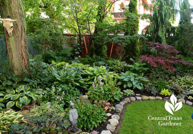Texas Shade Garden Ideas