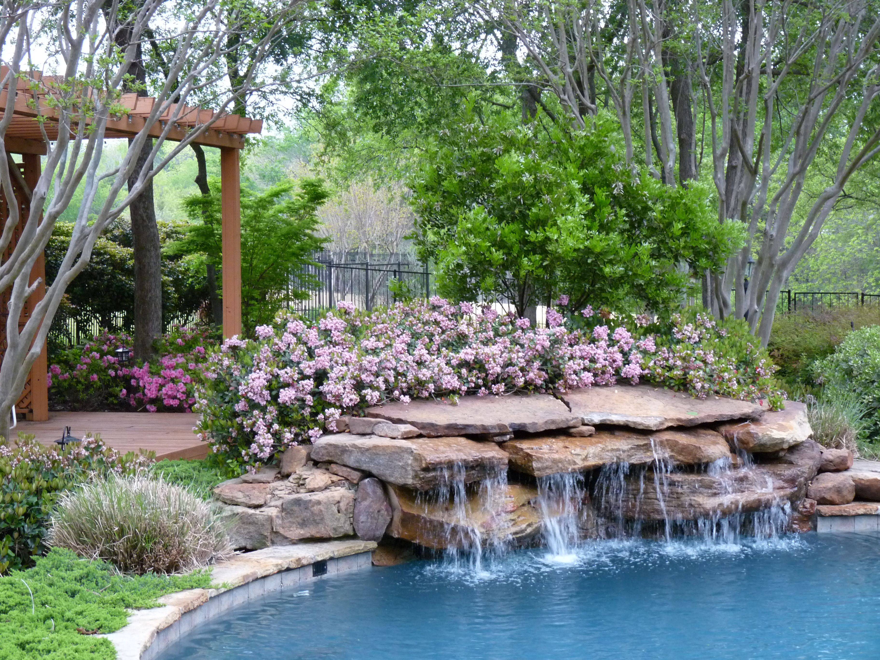 23 Texas Shade Garden Ideas Worth to Check SharonSable