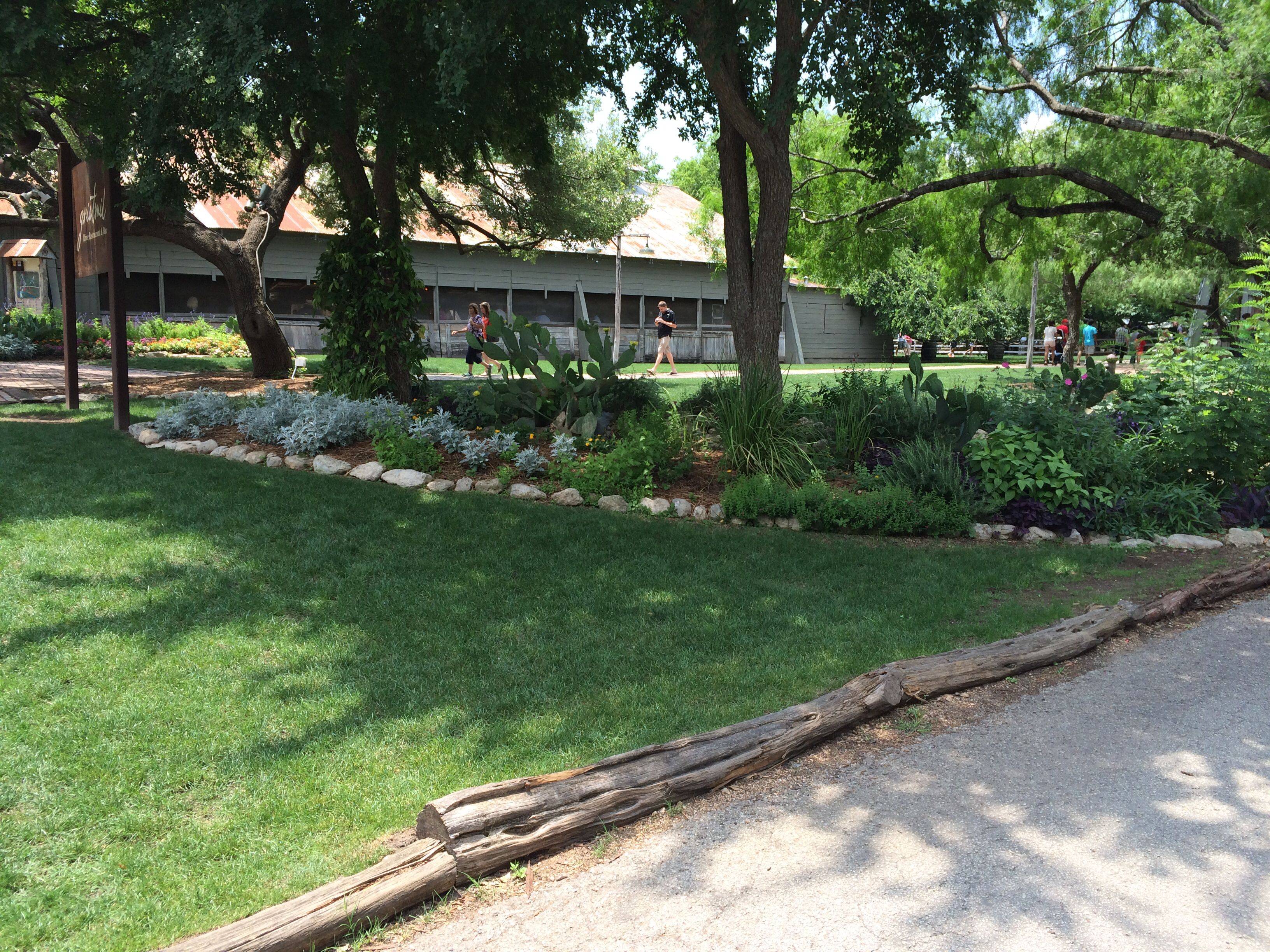 The Dallas Garden Embraces Native Plants Lee Ann Torrans Gardeninglee