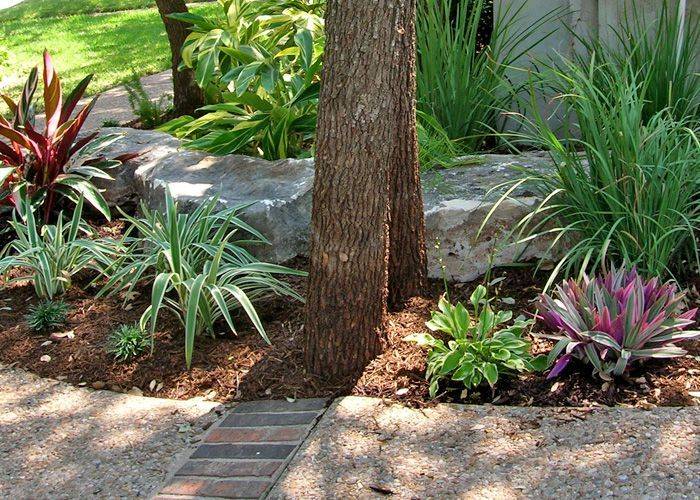 North Houston Kingwood Garden Center