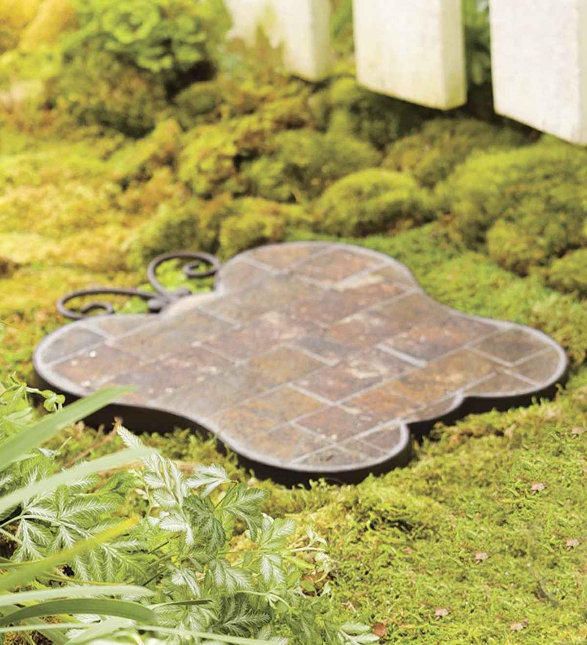 A Limb Mosaic Stepping Stone Cardinal