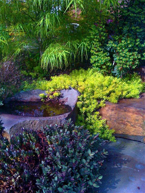 Gardenlandscaping Shade Loving Perennials