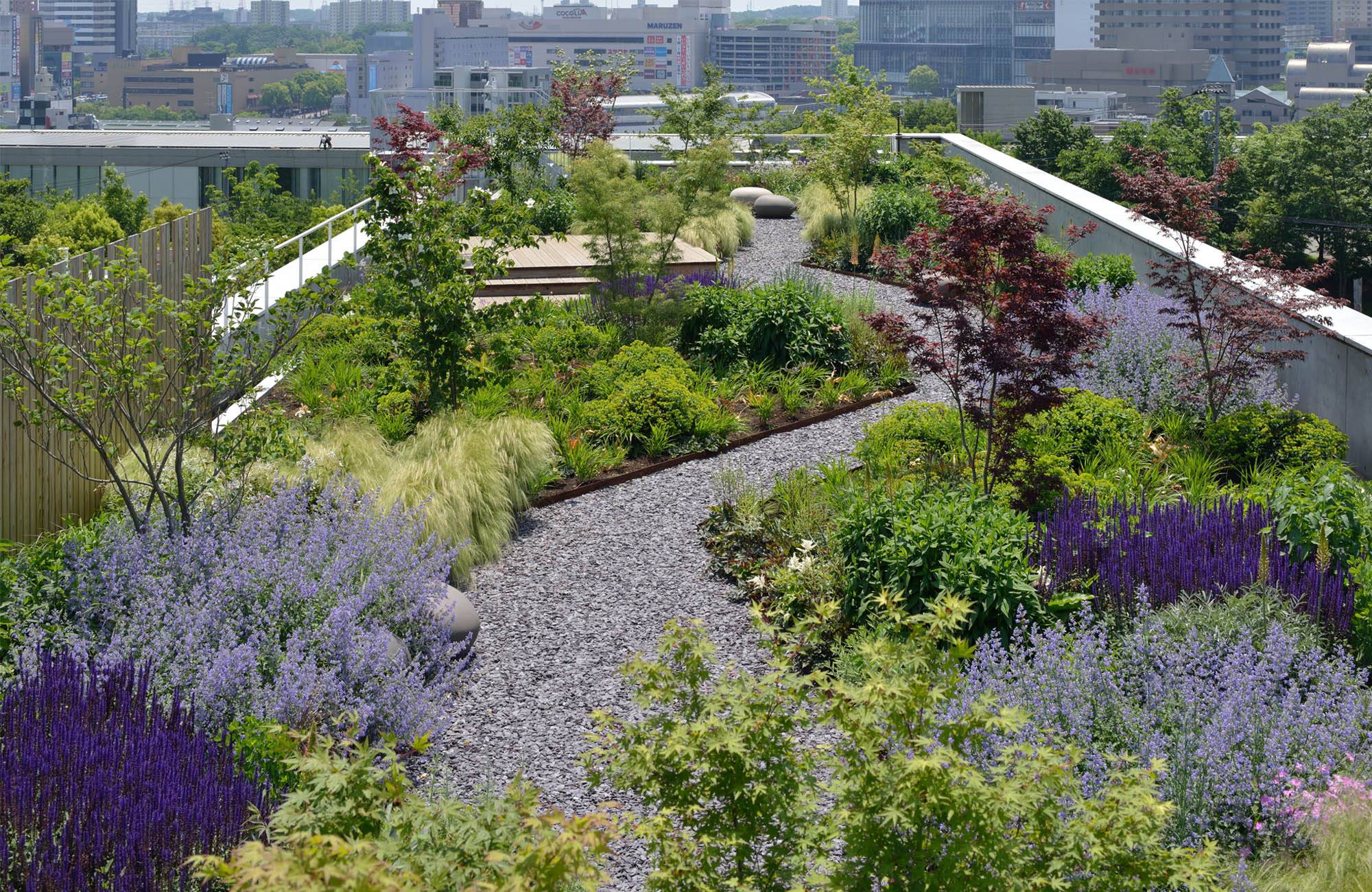 Beautiful Garden Hd Wallpaper Download Flower Garden Images