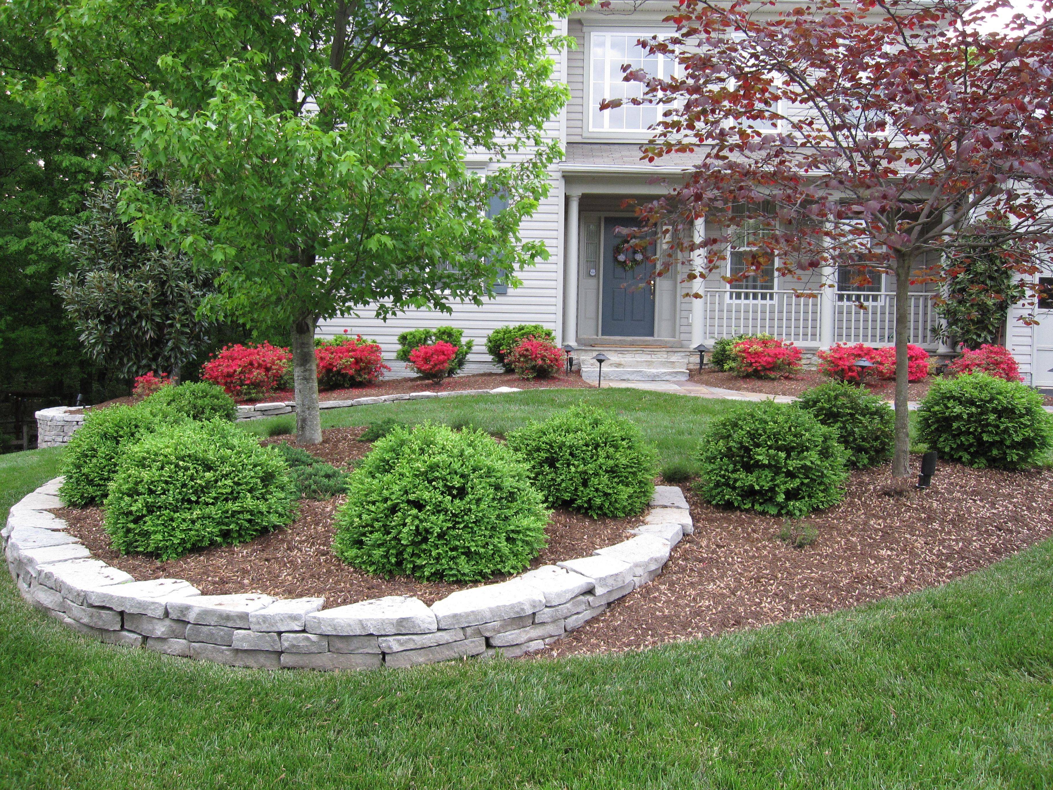 Green And White Garden Ideas