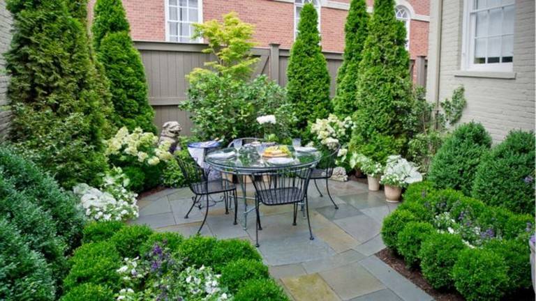Those Green Velvet Boxwood