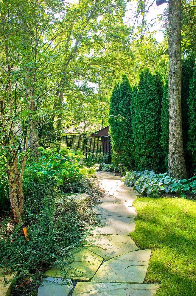 Six Inspiring Garden Ideas