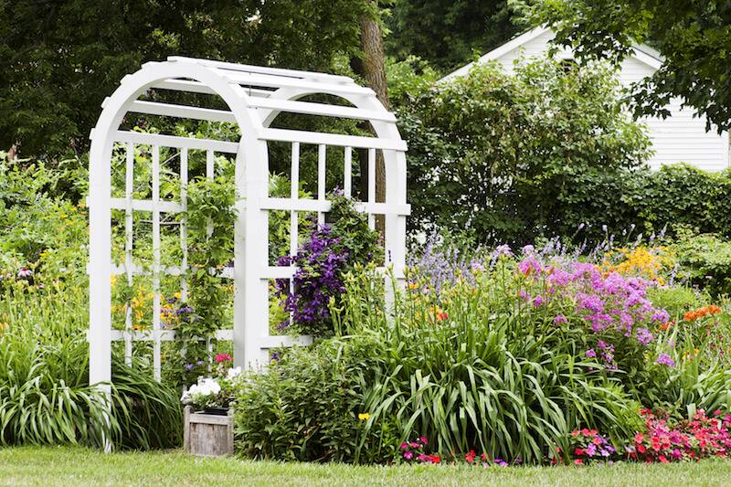 Arch Top Garden Trellis