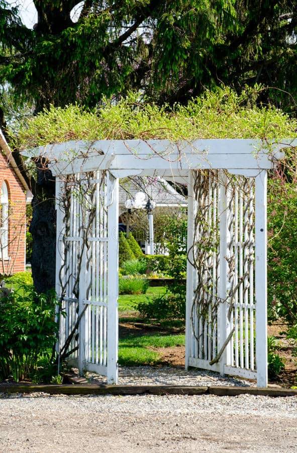 Duratrel Providence Ft Vinyl Pergola Arbor White Arbors