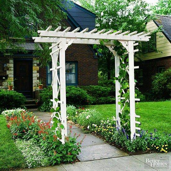The Top Arbor Plans