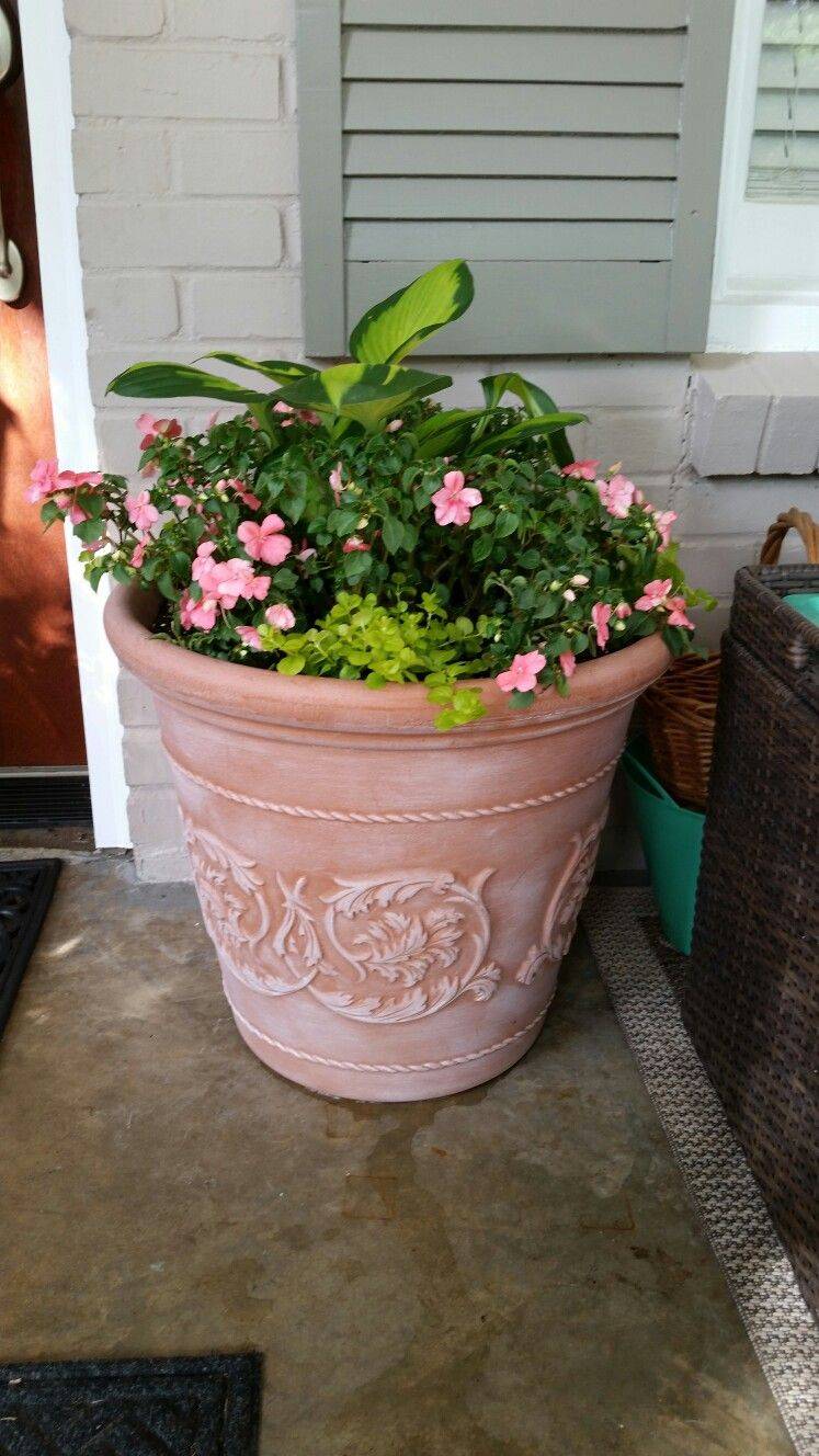 Creative Spring Garden Pots