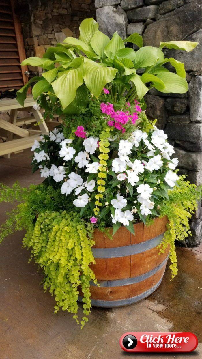 Front Yard Hosta Garden Design Ideas