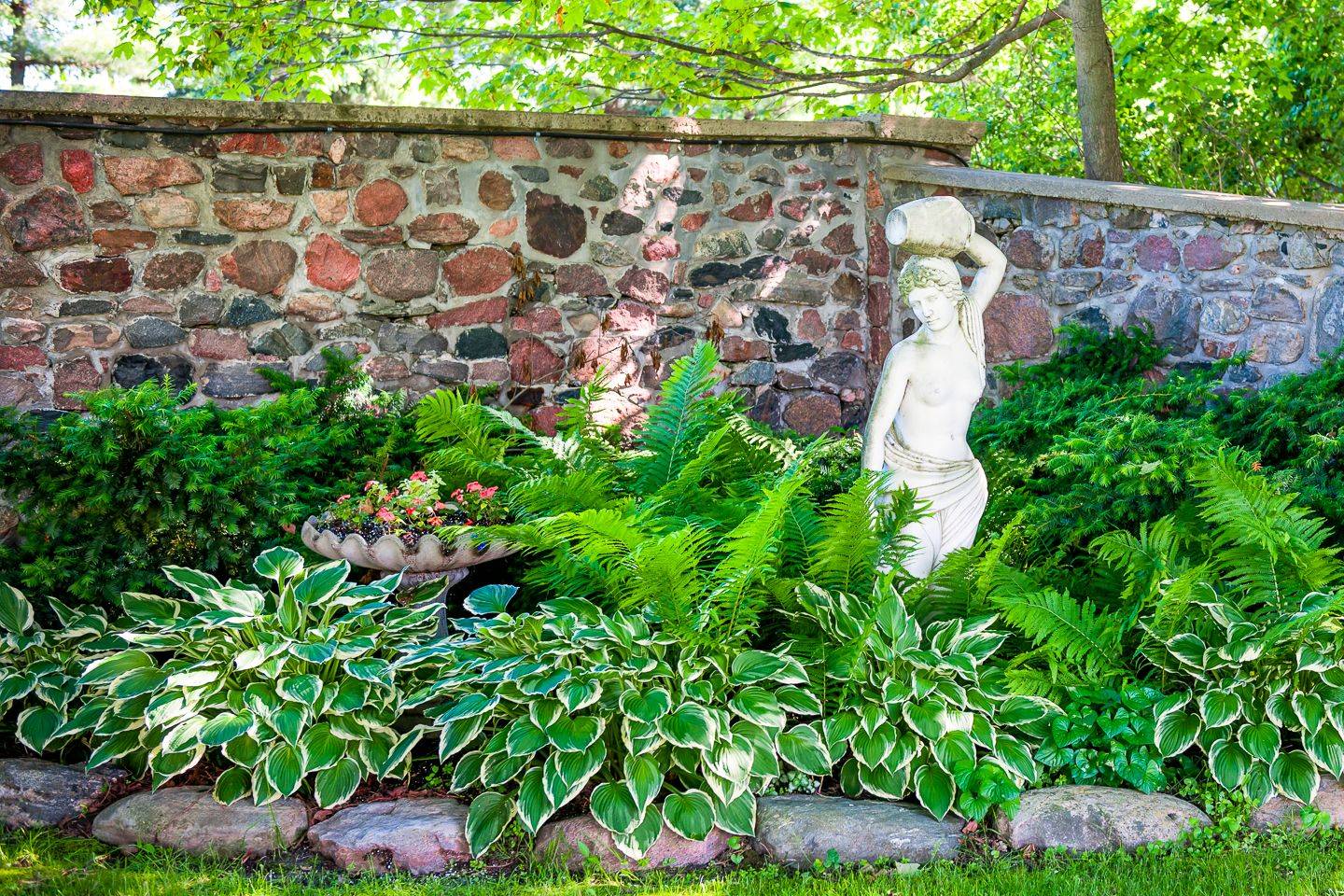 Hosta Acorus Impatiens Heuchera Heuchera Hostas Acorus