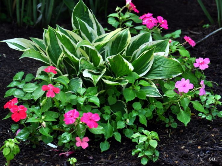 Planter Design