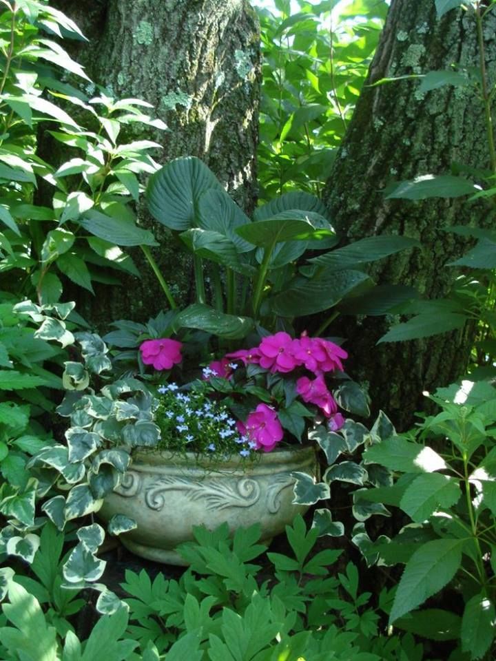 The Tattered Pew