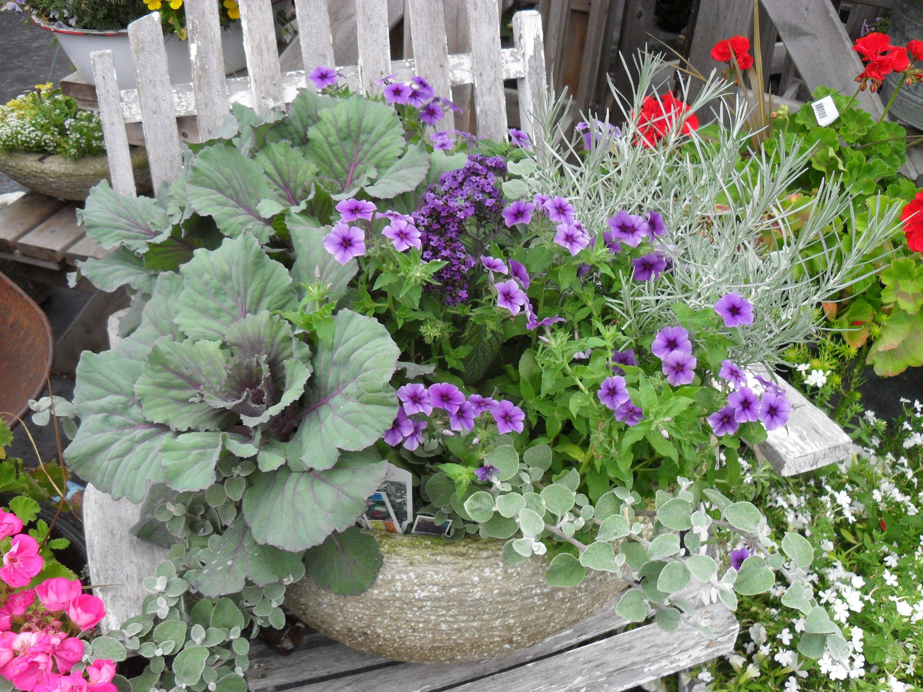 Garden Landscaping