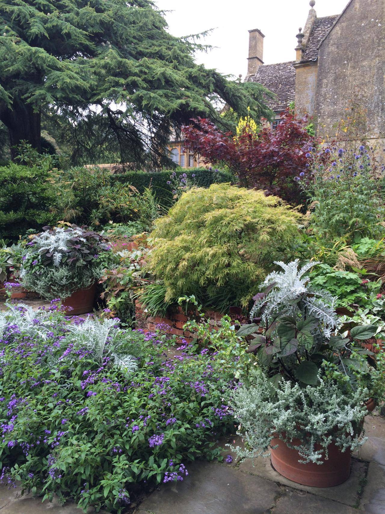 Shade Garden Plant