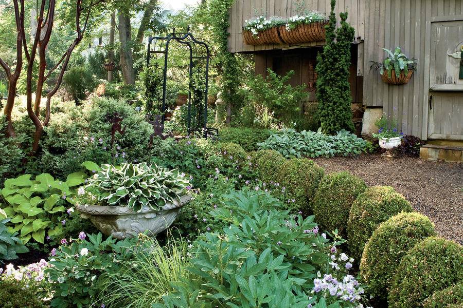 Woodland Garden