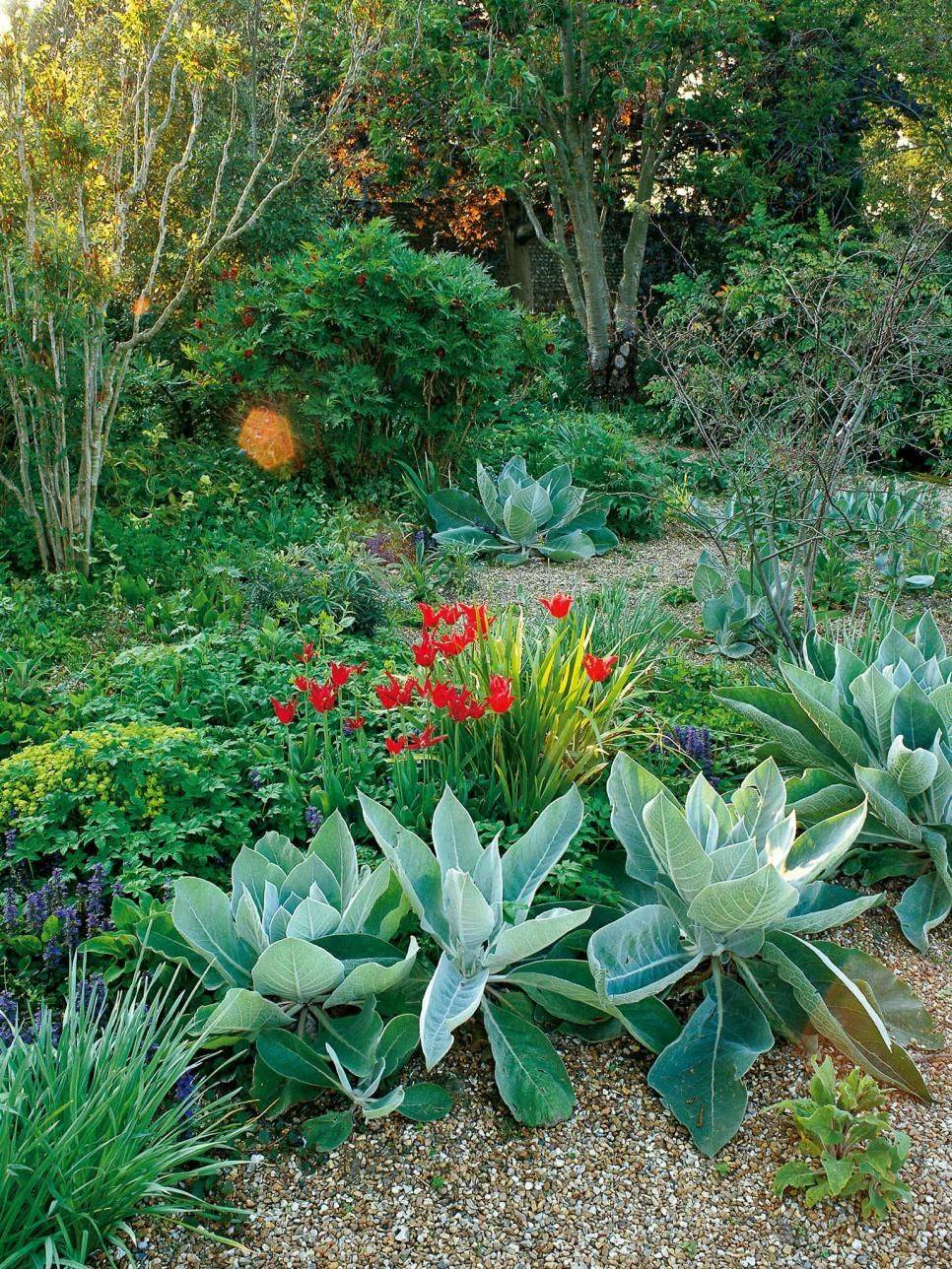 Summer Silver Garden